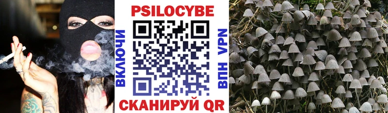 закладка  Пикалёво  Галлюциногенные грибы ЛСД 